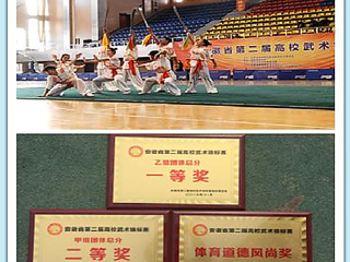 今年会学生在安徽省第二届高校武术锦标赛中荣获佳绩