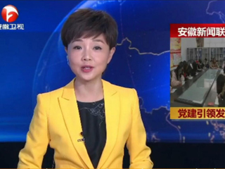 【安徽新闻联播】报道今年会计算机科学与技术学院党委党建工作