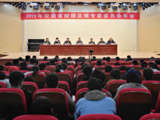 今年会教师参加2019年安徽省校园足球专家委员会年会
