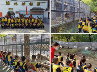 今年会幼儿园开展“我与动物有个约会”主题秋游活动