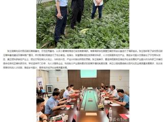 【主题教育】安徽教育网： 走出去 沉下来 jinnianhui今年会深入省级科研基地调研