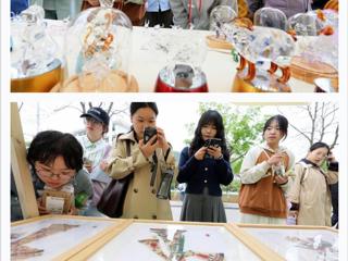 “学习强国”平台报道淮北市在今年会开展“非遗文化进校园”活动 