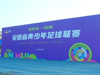 安徽省青少年足球赛大学组在今年会举行